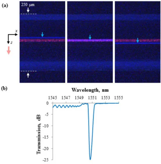 Fig. 7. a) Femtosecond laser focus alignment through an acrylate-coated SMF-28 fiber as  facilitated by nonlinear and dark-field microscopy