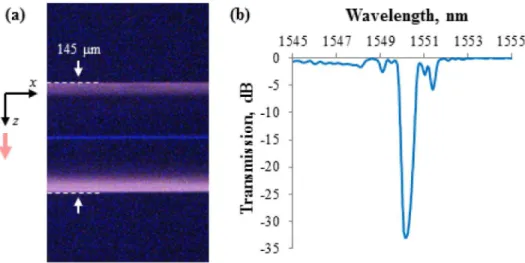 Fig. 8. Femtosecond laser focus alignment through a polyimide-coated SMF-28 fiber as  facilitated by nonlinear and dark-field microscopy