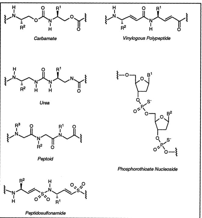 Figure  1-5.  Biopolymer  mimetic  libraries.