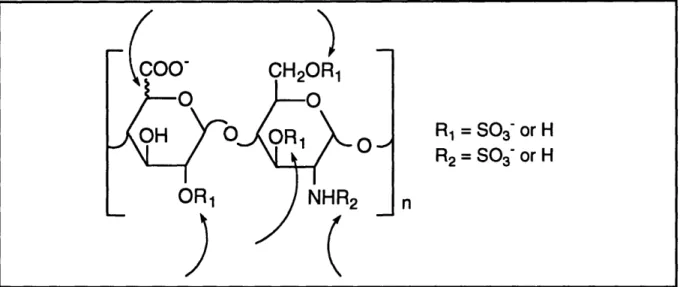 Figure  2-2.  Five sources of heterogeneity  per heparin disaccharide.