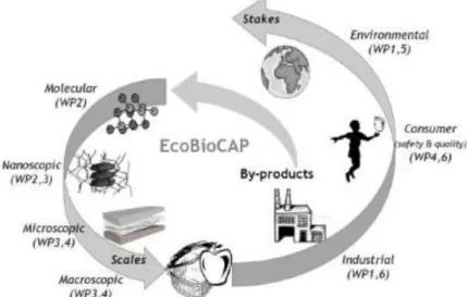 Figure 1 : Le projet EcoBioCap (ECOefficient BIOdegradable Composite Advanced Packaging,  2011-15)   Le projet européen EcoBioCap a eu pour objectif de concevoir la prochaine génération de matériaux  d’emballage en se basant sur des structures composites i