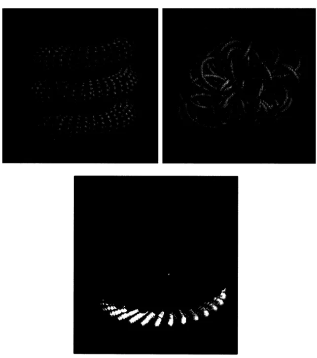 Figure  2.11  Results  of Helical  Optimization  with  Helichrome.  Top  left:  Simple  supercoil and  right  complex  supercoils