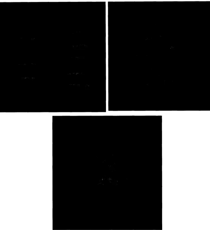 Figure  2.14  The results  of  Optchrom.  Top  left:  Initial  structure.  Top right:  structure  of after  relaxation  through  optchrom  viewed  from  the  side  Bottom:  top view  of relaxed structure