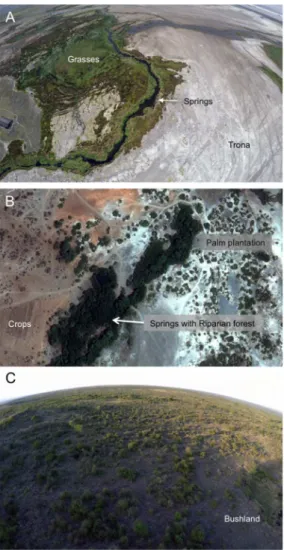 Figure 3. Natural land cover classes surrounding the freshwater habitats. (A) Lake Natron Springs: