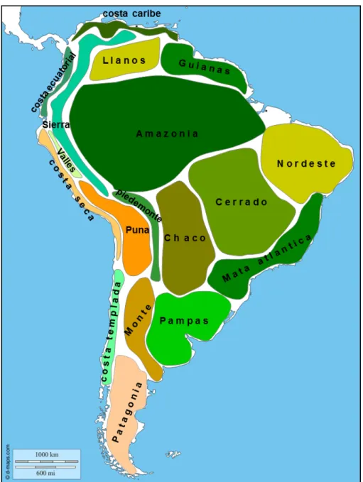 Figure 1 : Carte de l’Amérique du Sud montrant les principales écorégions (F. Coronato)