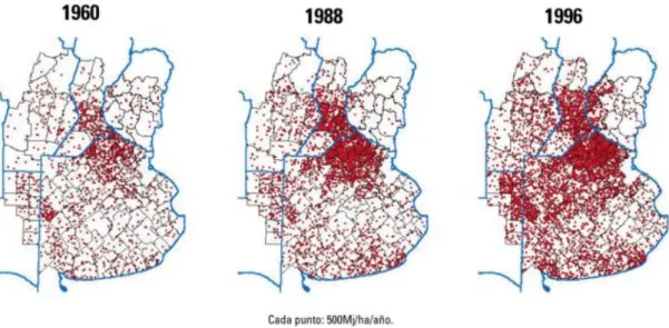Figure 4 : Changements concernant la richesse produite (blé, soja, tournesol et viande bovine)   par la prairie de la Pampa (en Mj/ha/an) de 1960 à 1996