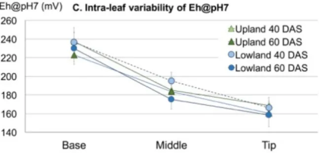 Figure 3. Intra-leaf variability of Eh (mV) (A), pH (B) and Eh@pH7 (mV) (C) respectively, for three  leaf positions (Base, Middle, Tip), at two plant ages (40 and 59 DAS (days after sowing)), under two  water management treatments (“Upland” = aerobic condi