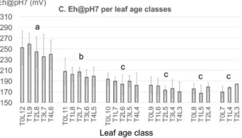 Figure 6. Inter-leaf variability of Eh (A), pH (B) and Eh@pH7 (C) respectively and pairwise  comparisons between six age groups