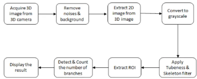 Fig. 2. Workflow diagram of counting the number of seedpods  A. Results from a combination of Agros3D-P100 and Sony 