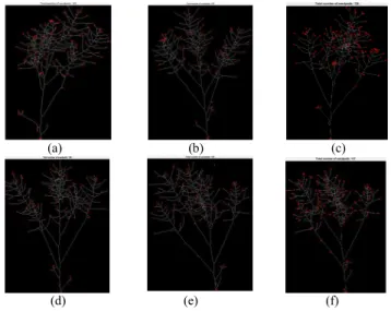 Fig. 9. Detected end points on different images at different viewing angles 