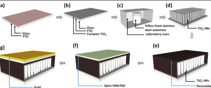 Figure 1. Schematic illustration of perovskite solar cell fabrication based on TiO 2 nanorods