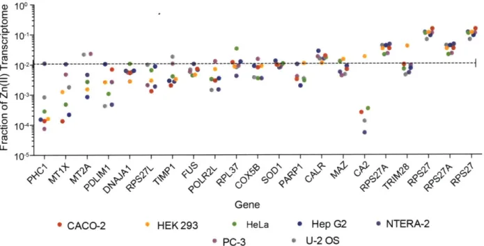 Figure 1.5. Analysis of the transcriptomes of common laboratory cell lines reveals that approximately 30% of the RNA corresponding to Zn(II)-binding proteins is accounted for by-~20transcripts