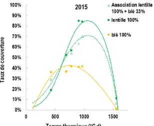Figure 1  : Taux de couverture de l’association lentille-blé en additif (lentille Anicia 100% + blé Valbona 33%) et  des cultures pures respectives en fonction du temps thermique