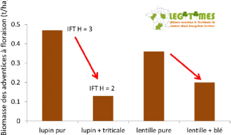 Figure 4 : Biomasse des adventices dans le réseau de parcelles de comparaison pour le lupin, le lupin-triticale, la  lentille et la lentille-blé (données issues du Projet LEGITIMES, 2017)