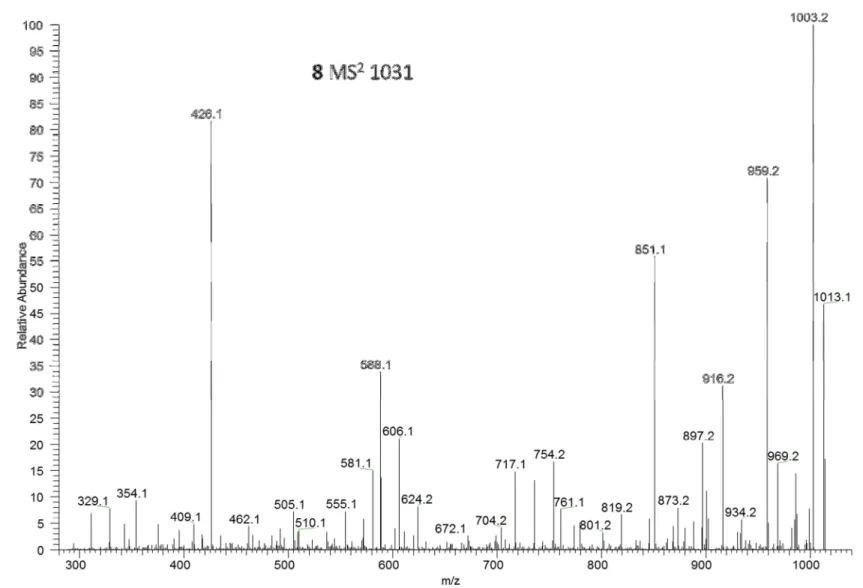 Figure S9. LC–MS 2  spectrum of [M+H] +  of [Asp 3 ]MC-RY (8) at  m / z  1031.2. 