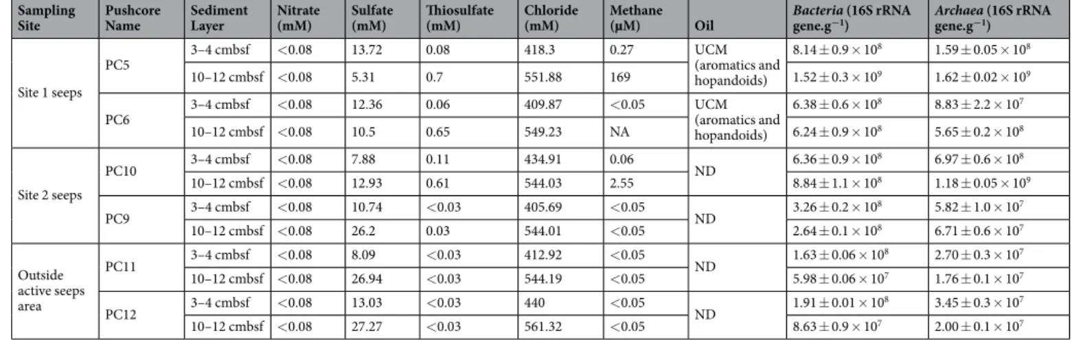 Table 1.  Geochemical description and microbial abundance of the samples. UCM: Uncharacterized complex  mixture