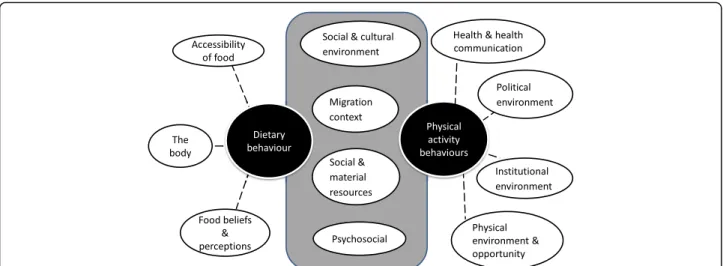 Fig. 4 A systems-based integrated framework of the clusters influencing dietary and physical activity behaviours in ethnic minority populations living in Europe