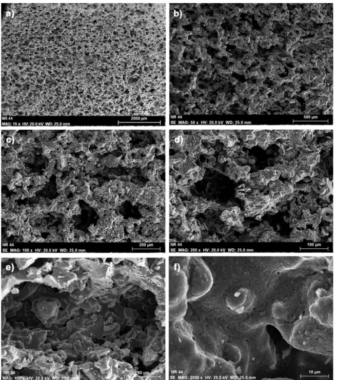 Fig. 2. SEM images of porous structure of 45S5 bioactive glass sca ﬀ olds sintered at 975 °C at various magni ﬁ cations: (a) 15×, (b) 50×, (c) 100×, (d) 200×, (e) 400× and (f) 2000×