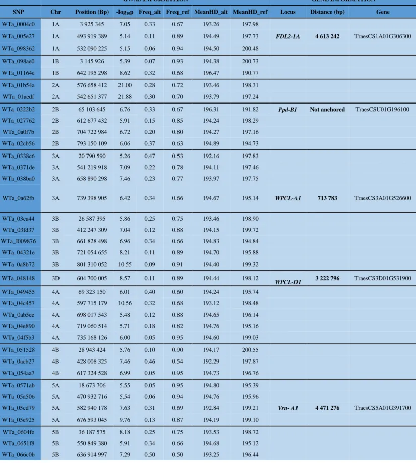 Table  S4:  Genes/loci  of  GWAS  for  heading  date  (HD).  List  of  48  significant  loci  with  information  on  chromosome,  position,  -log 10 (p),  reference  allele  frequency  (Freq_ref),  mean  heading  date  value  for  genotypes  carrying  the 