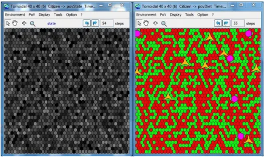 Fig. 4. A running simulation in CORMAS. 