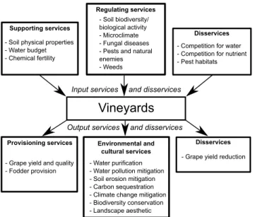 Figure 1: Ecosystem services and disservices expected from ser- ser-vice crops in vineyards.