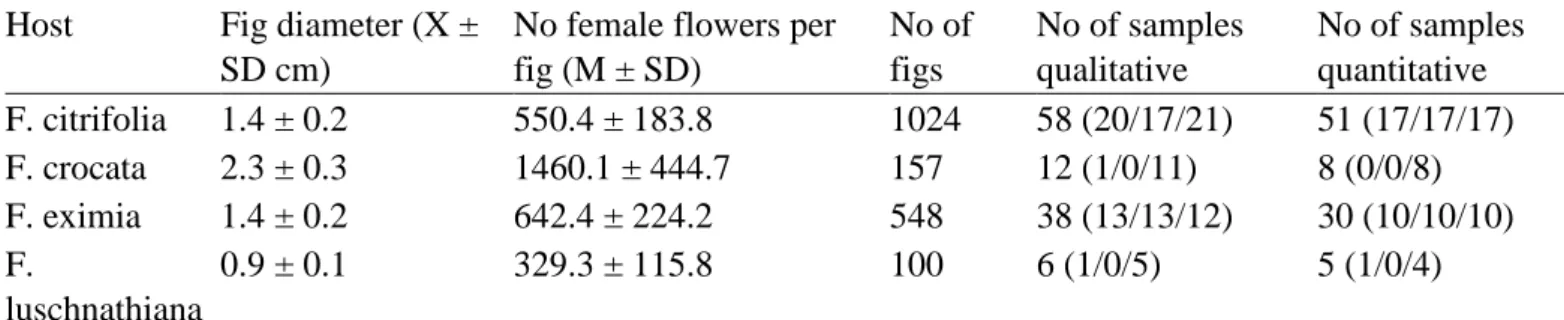 Figs belonging to section Americanae are monoecious, and the studied species vary in average  fig diameter from ∼1 to ∼2.5 cm when mature 
