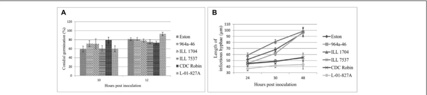 FIGURE 2 | Mean germination (%) of conidia (A), and mean length of infectious hyphae (µm; B) extending from germinated Ascochyta lentis conidia on the leaflet surface of Lens genotypes at 10 to 48 hpi)