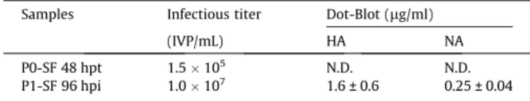 Fig. 2. Influenza A/Puerto Rico/8/34 production in 3L-bioreactor by reverse genetics. (A) Cell density and viability