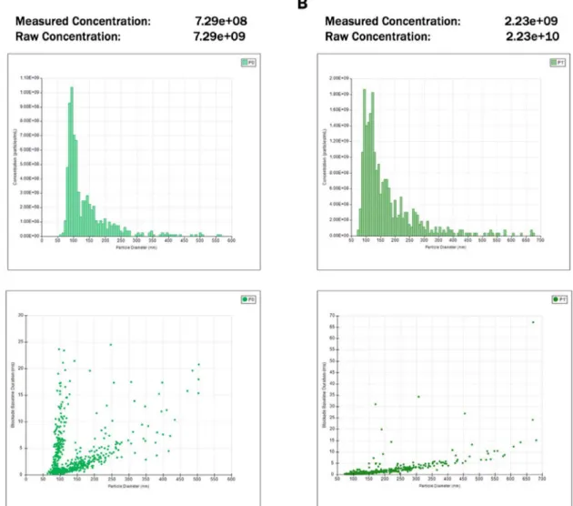 Fig. 3. Characterization of influenza A/Puerto Rico/8/34 produced in 3L-bioreactor by reverse genetics