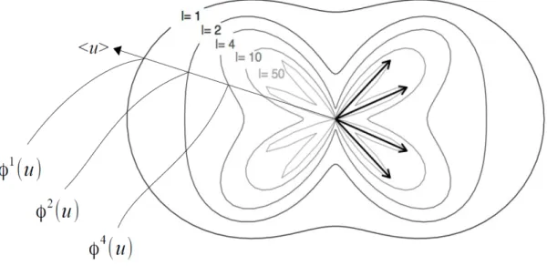 Figure 1: Polar representation of φ l (u) according to the value of l, in the elementary case of four coplanar variables.