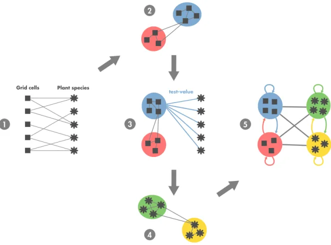 Figure 2. Steps of the biogeographical network analysis. 1. Biogeographical bipartite network where grid cells and species are linked by the presence of a species (or a group of species) in a given grid cell during a certain time window