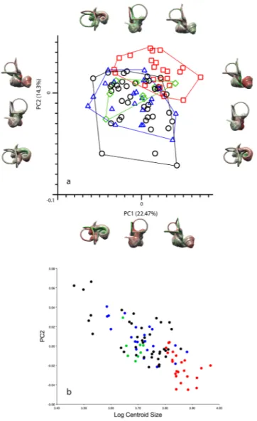 Table 1 shape variance levels, the differences amount to between 11% greater up to 54% greater depending on  the structure), but this difference is not statistically significant