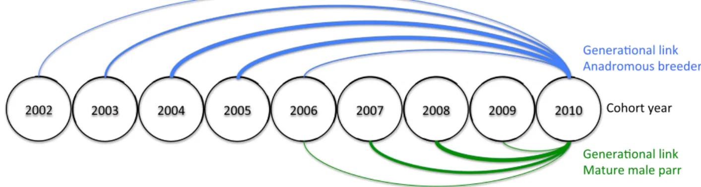 Figure 1 illustrates a typical life cycle of the Atlantic sal- sal-mon population inhabiting the Escoumins River, showing the potential cohorts of anadromous and mature male parr breeders that may have contributed to the fry sampled in 2010