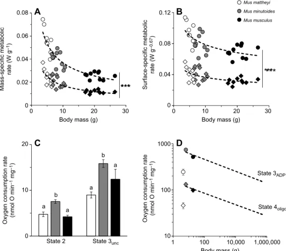 Fig. 2. Mass-specific metabolic rate at the whole-animal, cellular and subcellular level for the three mouse species