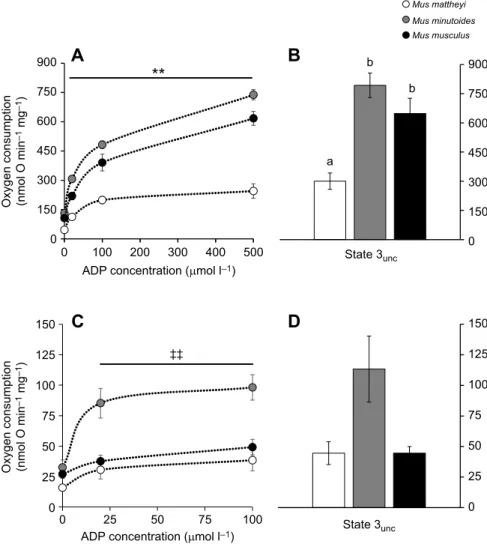 Fig. 3. Respiratory capacity of skeletal muscle and liver mitochondria. (A) Mitochondrial oxygen consumption as a function of ADP concentration in skeletal muscle