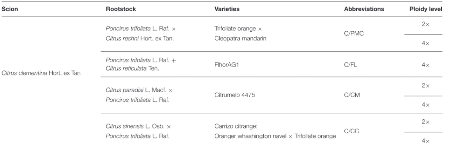 TABLE 1 | Description of scion/rootstock combinations.