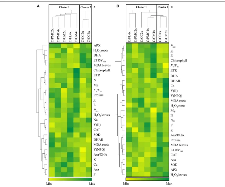 FIGURE 2 | Hierarchical cluster analysis and heatmap displaying mineral contents and parameters responding to nutrient deficiency in different scion/rootstock combinations after 210 days of nutrient deficiency (D210) (A) and after 30 days of recovery (30DR
