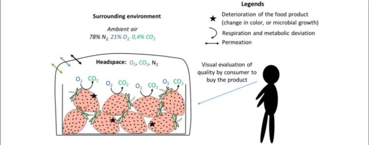 FIGURE 4 | Estimation of strawberries’ shelf life by integrating the deterioration of the product, the gas evolution depending on transfer through packaging and strawberries’ respiration and the acceptability of consumers, from Matar et al