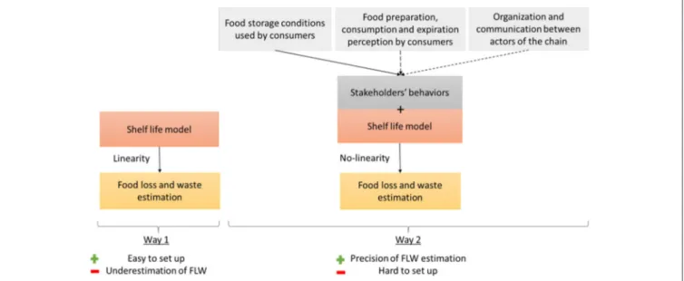 FIGURE 5 | Ways used to estimate FLW from shelf life model. The way 2 include the post-harvest actors’ behaviors that could be modeled (solid line) and the ones being non-predictive (dotted line)