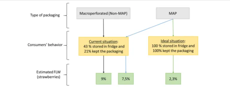 FIGURE 6 | Evaluation of percentage of strawberries waste depending on the type of packaging and the consumer’s behavior, from Matar et al