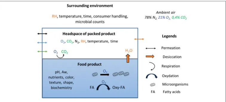 FIGURE 2 | The transfer reaction model of packed food depending on internal and external factors.