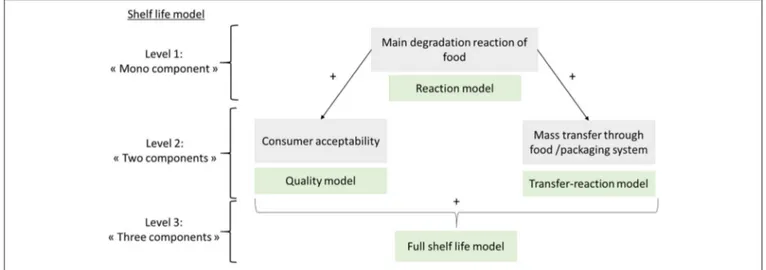 FIGURE 3 | A shelf life approach combining the evolution of food quality, the transfer through packaging, and the acceptance limits of consumers.