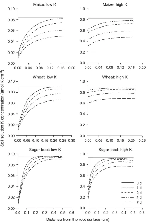 Fig. 4.6 Simulated depletion of K in the rhizosphere as a function of time for different crops.