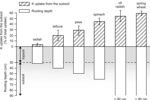 Fig. 4.1 Relative contribution of the subsoil to K acquisition as a function of rooting depth of different crop species grown in ﬁ eld conditions in a loess-derived, deep soil (Cambisol) with topsoil containing 90 mg kg 1 exchangeable K and subsoil contain