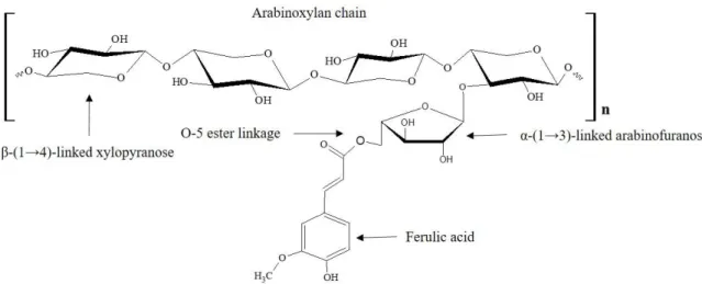 Figure 1. Chemical structure of maize ferulated arabinoxylan. 