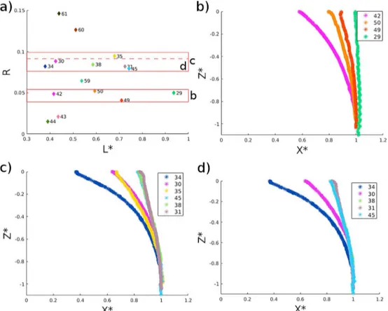 Figure 4. Experimental paths followed by cracks with similar R and different L*. (a) Scatter plots of the ratio R versus the crack length L* for each experiment