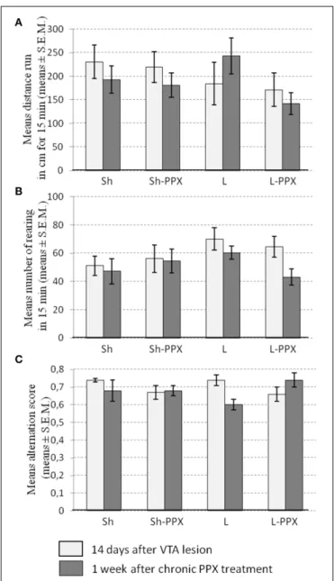 FIGURE 3 | Daily administration of pramipexole (PPX) has no effect on spontaneous locomotors activity and spontaneous alternation Y maze