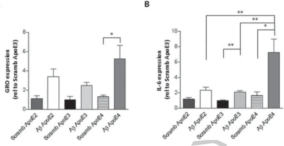 Fig. 4. Inflammatory gene expression in mouse apoE knock-out, human ApoE knock-in, astrocytes upon challenge with A␤ 1 - 42 
