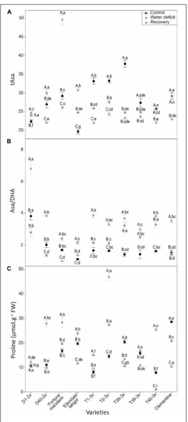 FIGURE 5 | Evolution of (A) total ascorbate (tAsa), (B) redox status (Asa/DHA), and (C) proline contents in leaves of varieties under three different water conditions: control (black points), water deficit (gray points), and after rehydration (recovery; gr