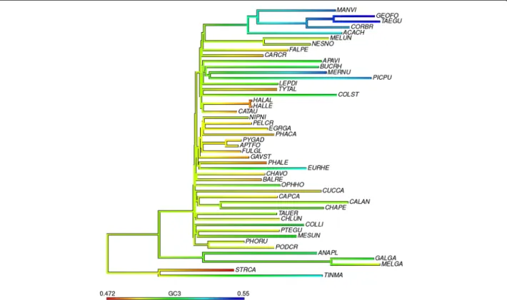 Figure 1 GC3 content varies substantially between different avian lineages. Total evidence nucleotide tree [33] showing differences in GC3 content between lineages